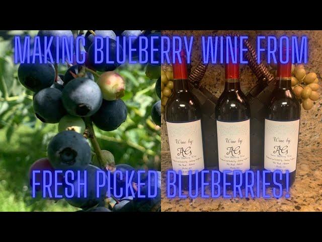 Making Blueberry Wine from Fresh Picked Berries!