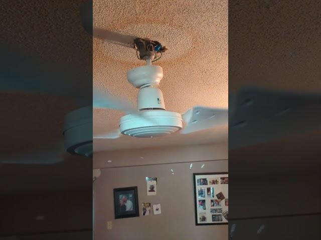 CEILING FAN FALLING! #ceilingfan #funny #ceilingfan #shorts #beats