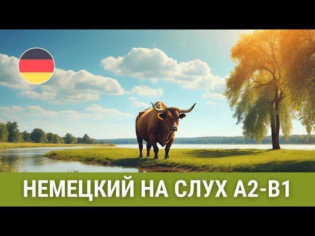 Приключение в деревне. Немецкий на слух А2-В1