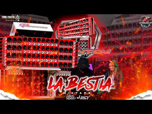 LA BESTIA  / MIX DE PLENA NUEVA 2024 -  VJ IBRAIN JR X JEICY DJ Ft TERRIBLE EVOLUTION CORPORATION