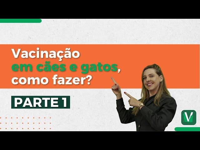 PROTOCOLO VACINAL em cães e gatos | PARTE 1