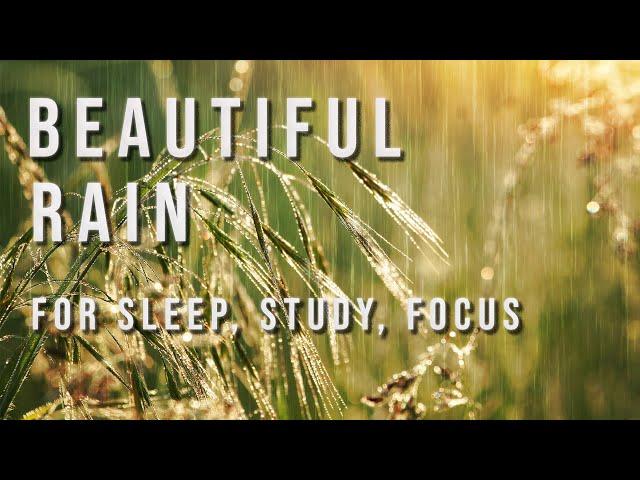 Soothing Rain Sounds for Sleep, Studying | White Noise 10 Hours