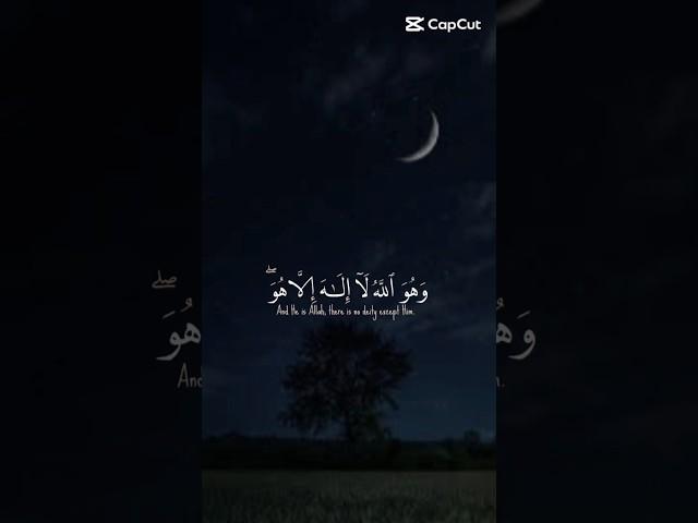 وهو الله لا الله الا هو/القارء ياسر الدوسري/صوت جميل ومريح /لا تنسوا الدعاء لأهلنا في غزة 