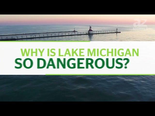 What Lives At The Bottom of Lake Michigan?