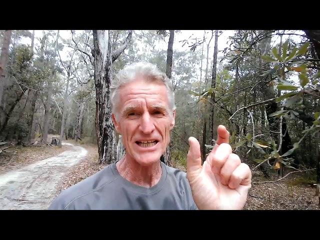 Webby Walks - Less is More