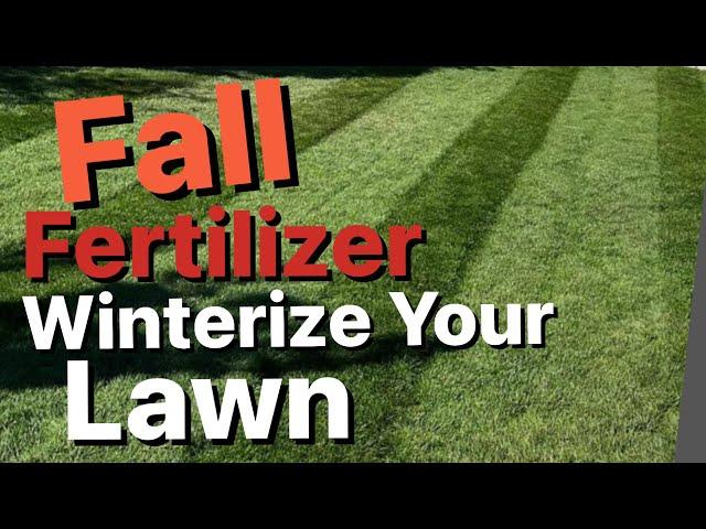 FALL FERTILIZER || Beautiful Lawns Start in the Fall