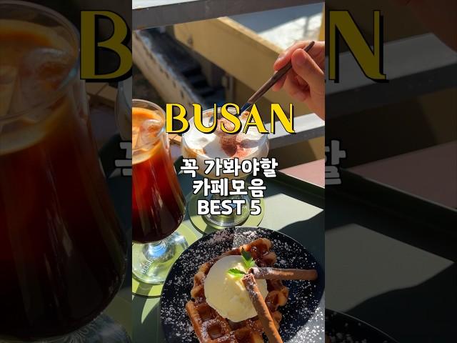 부산 여행가면 꼭 가봐야 할 카페 BEST 5 !!