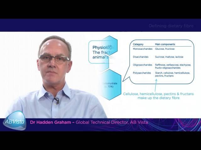 Understanding the fibre fraction of the diet to optimise digestion