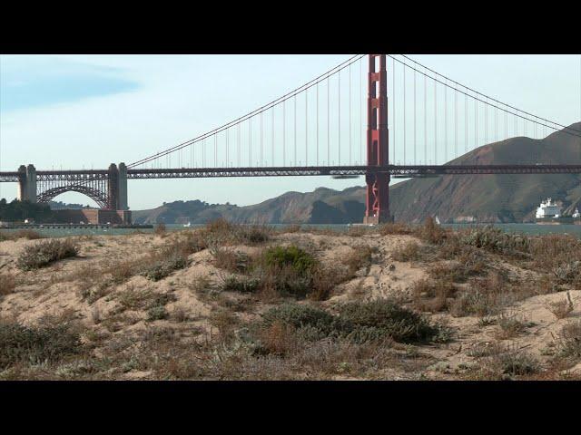 Trump's environmental protection cuts appear to target San Francisco Bay
