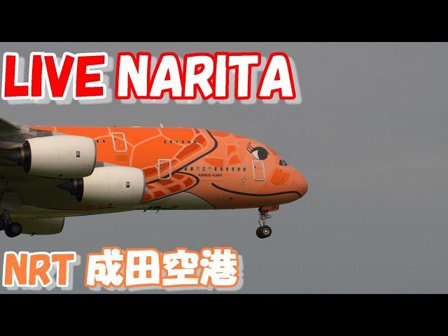 LIVE at NARITA International Airport Plane Spotting　2024.09.15 成田空港ライブカメラ 成田空港　NRT/RJAA