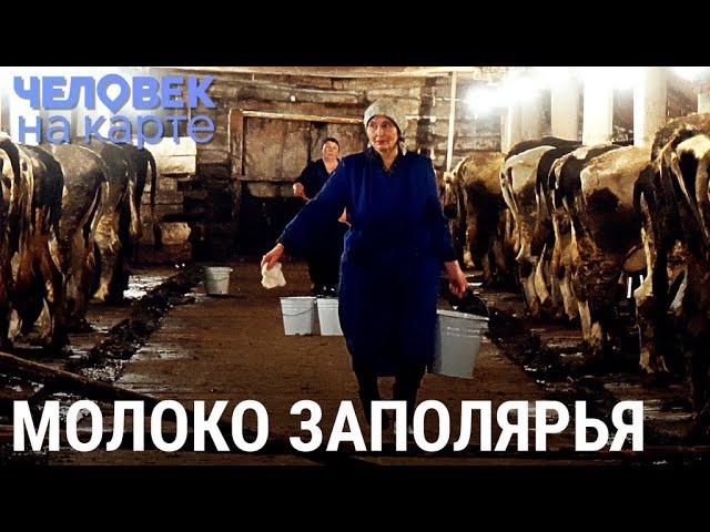 Молочная ферма на Крайнем Севере | ЧЕЛОВЕК НА КАРТЕ
