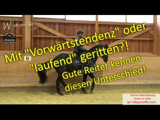 F152 Die Vorwärtstendenz beim Reiten als Voraussetzung für die Versammlung. Schwungvoll vs Laufend!