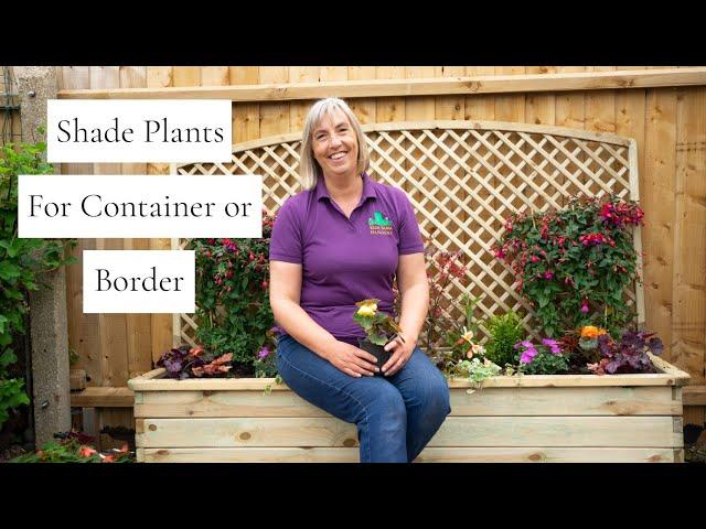 Shade Plants for Container or Border