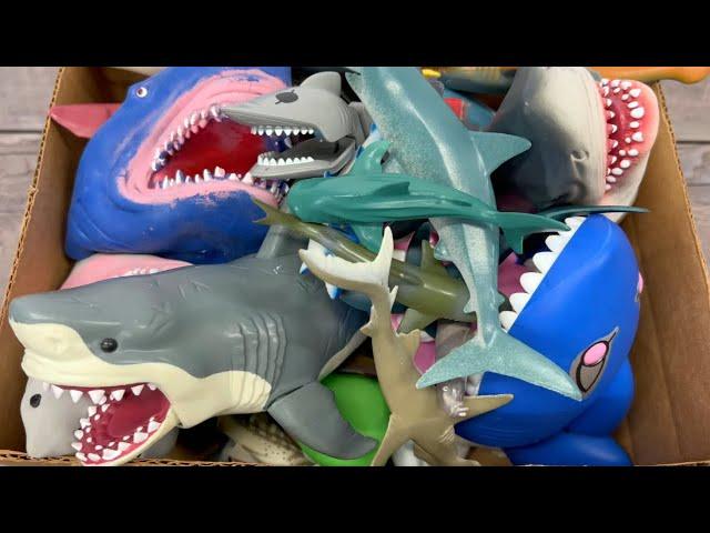 Shark Toys Unboxing: Sea Animal Adventure for Kids | Educational Fun