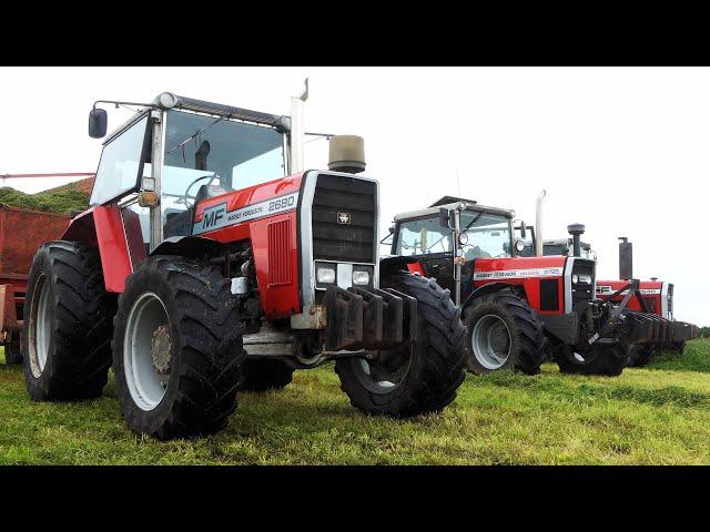 Vintage Grass Silage Day 2024 | More Than 60 Tractors in The Field chopping Grass