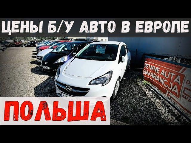 КАК изменились ЦЕНЫ на Б/У АВТО в ЕВРОПЕ? ОБЗОР ПОЛЬСКИХ АВТО-КОМИССИОНОК, осень 2024 года.