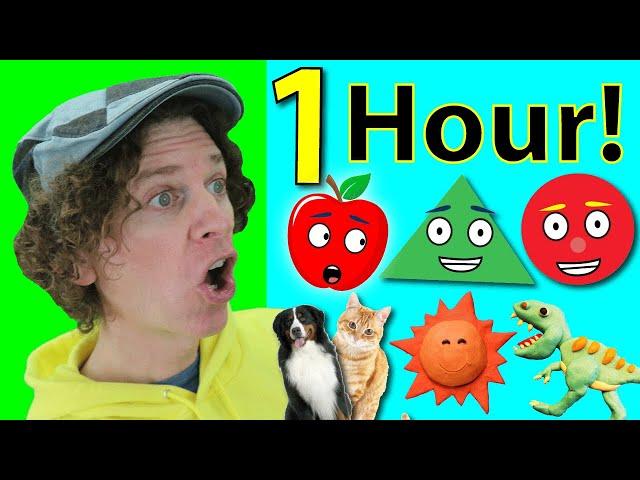 1 Hour of Songs with Matt | Shapes, Fruit, Numbers | Learn English Kids