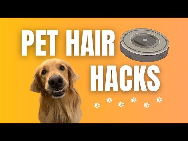 Pet Hair Hacks! Top 5 Ways To Manage Shedding From Your Dog In Your Home!