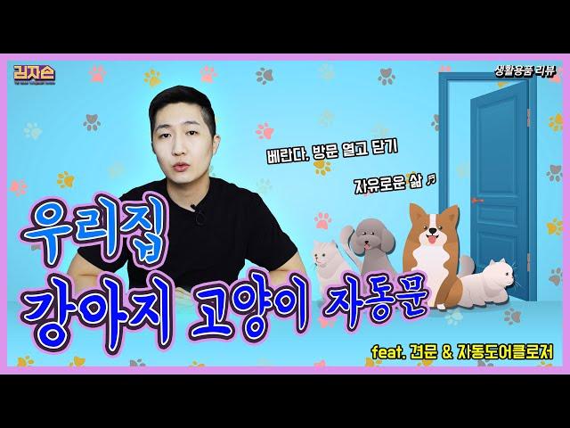 강아지 고양이 전용문  - Pet door - 생활용품 플러스템 리뷰