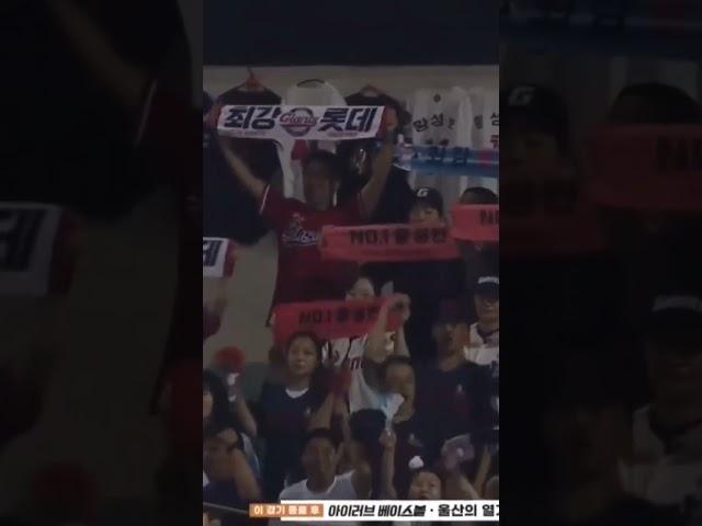 우리는 갈매기 울산 정모 영상 #롯데자이언츠 #우리는갈매기 #울산 #문수야구장 #울산갈매기