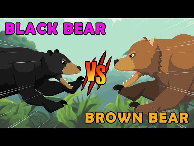 Black Bear vs Brown Bear | Woodland Fight Club [S1] | Animal Animation