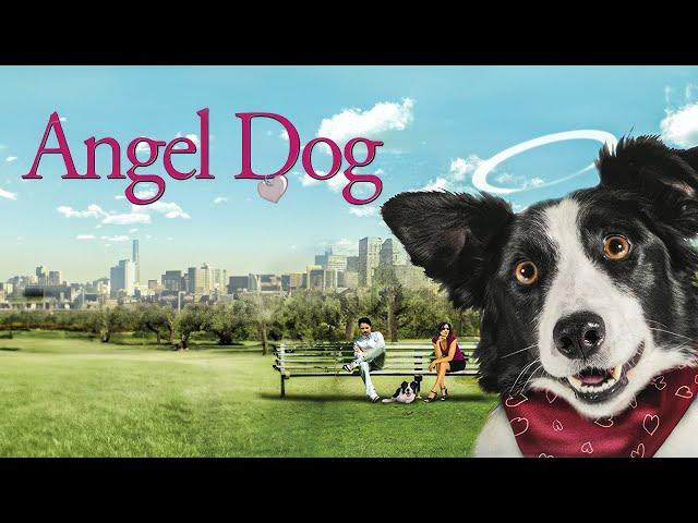 Angel Dog (Comedy, Family) This Best Friend is Heaven sent! | Full Movie