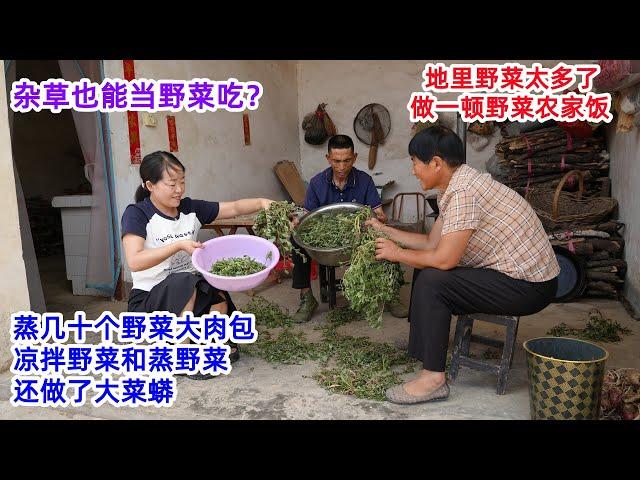 杂草也能当野菜吃？地里得野菜太多，婆媳俩做顿农家饭，蒸几十个野菜大肉包，凉拌野菜，野菜蒸菜，还做了大菜蟒吃