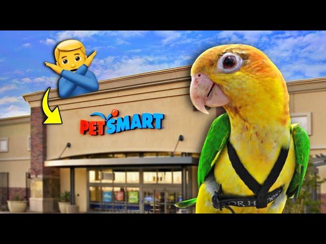 AVOID These Bird Products at the Pet Store  