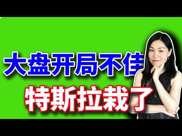 美股开年第一天，特斯拉大跌。【2025-01-02】