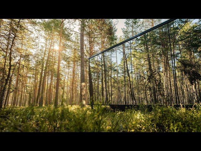 ÖÖD "MYSA" - A Beautiful Mirror Cabin Located In The Magical Pine Forest Of Western Estonia