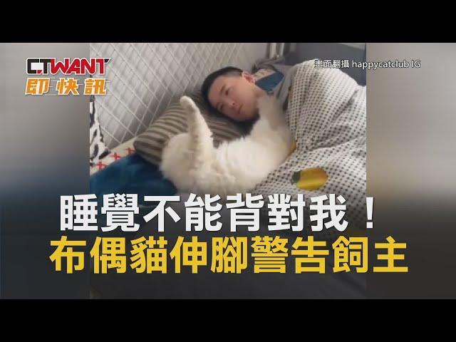 CTWANT 生活趣聞 / 睡覺不能背對我！布偶貓伸腳警告飼主