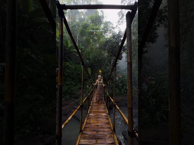 Amongst the jungle #Ubud #Bali 