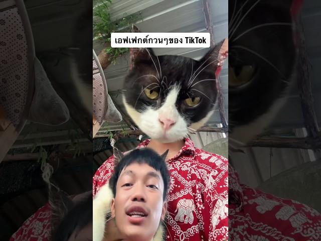 เอฟเฟกต์ TikTok ตลกๆ!! ขำไม่ไหวแล้ว.. (ep.จบ)