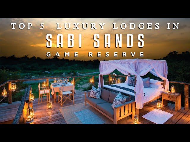 Top 5 Luxury Lodges in Sabi Sands Game Reserve | South Africa Luxury Safari