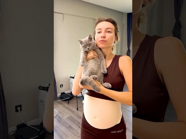 Smart Cat ️  #cat #shorts #viralvideo