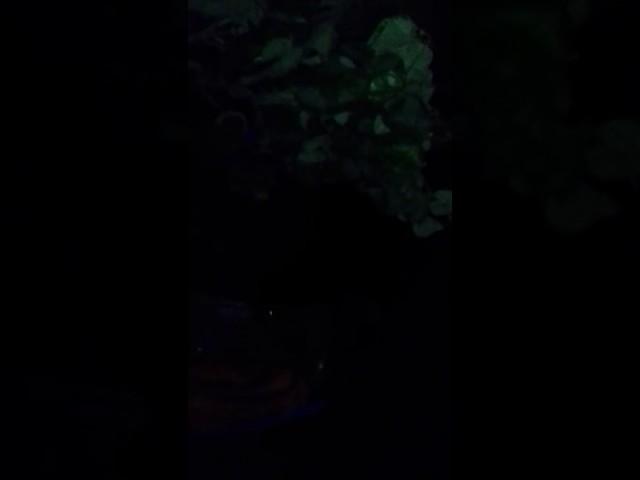 Dinesh hooda karma jag mag jag mag