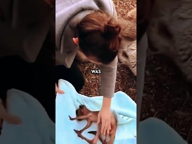he gets jacked at the end