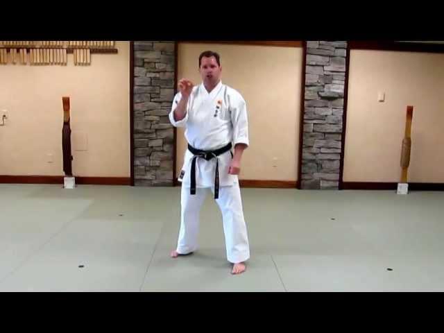 Kanshiwa Kata - Training Video