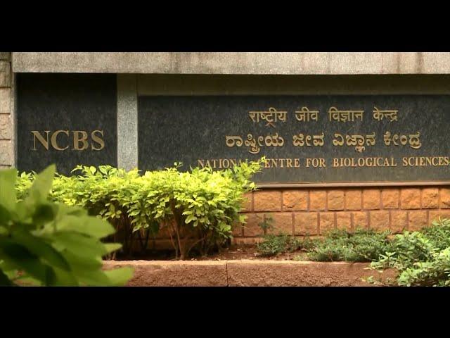 NCBS