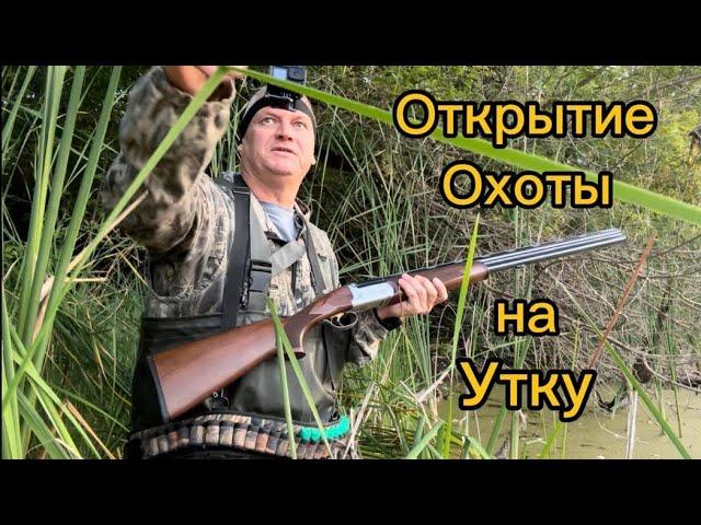 Охота на утку ,открытие,ружьё Bettinsoli X-Trail