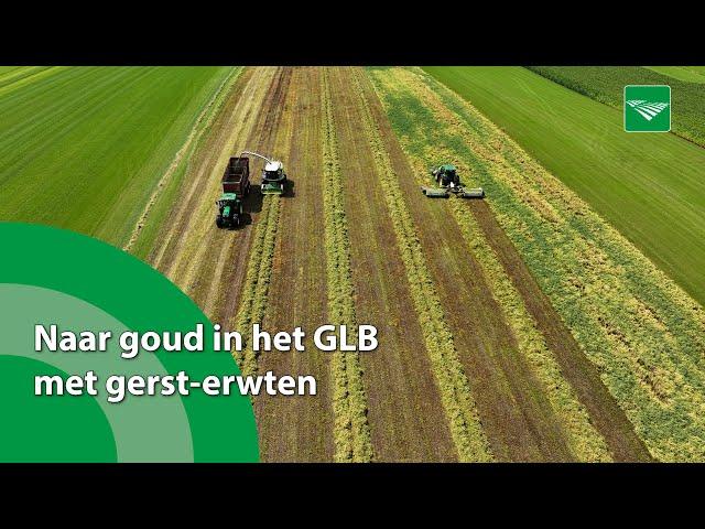 Naar goud in het GLB met gerst-erwten