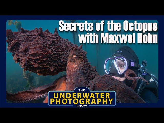 Maxwell Hohn On Filming Secrets Of The Octopus