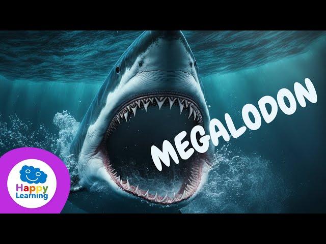 THE MEGALODON | Educational Videos for Children