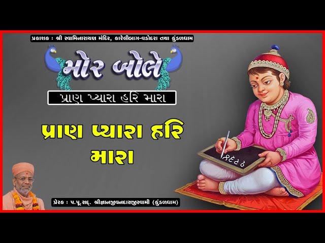 Pran Pyara Hari Mara | પ્રાણ પ્યારા હરિ મારા | Mor Bole | Pu. Gyanjivandasji Swami - Kundaldham