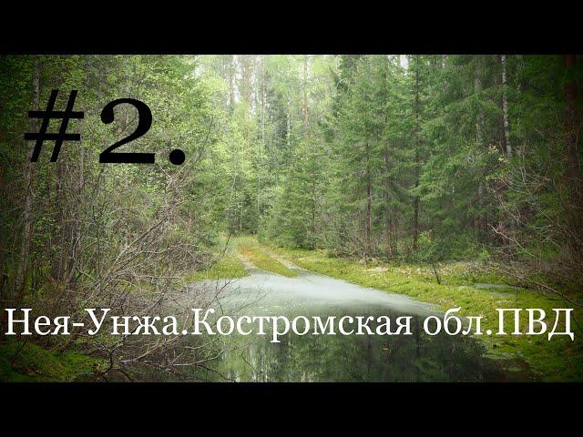 Одиночный поход Нея-Унжа.Костромская область.Часть 2. Май 2019г.