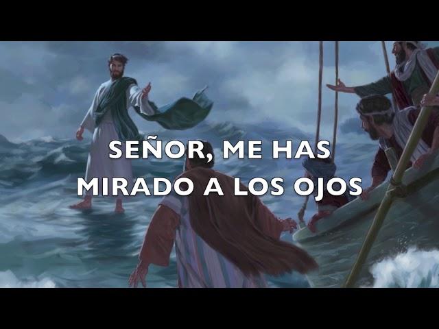 Señor me has mirado a los ojos - ( Pescador de hombres)