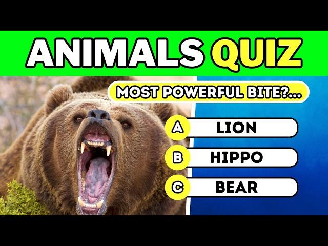 Test Your Knowledge: Animals Multiple Choice Quiz