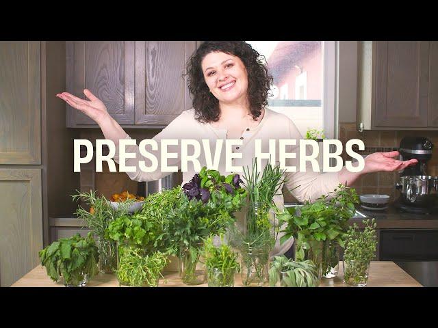 How to preserve herbs from your garden (13 ideas)