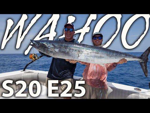 Wahoo Fishing Reports in Florida! Where to Go and What to Know!