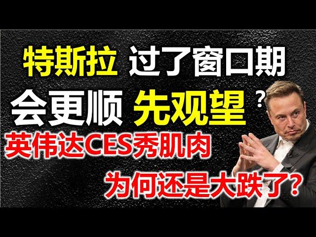 【特斯拉1月20日后】更顺利，现在适合观望，英伟达黄仁勋CES大秀肌肉，为何英伟达和美股还是崩了？#特斯拉 #特斯拉股票 #美股 #股哥说美股 #tesla #马斯克 #美股复盘